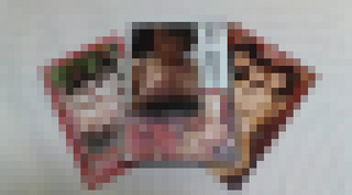 20110225055916se.jpg