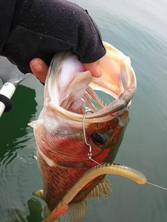 DSC_0027s.jpg