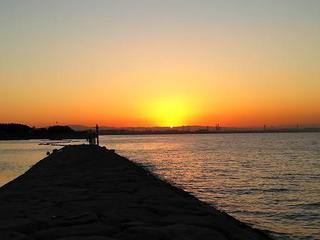 DSC_0158s.jpg