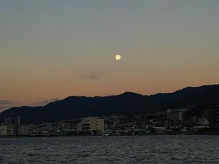DSC_0499s.jpg