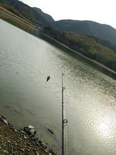 DSC_0502s.jpg