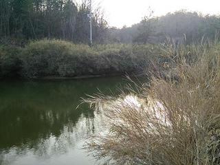 DSC_0518ds.jpg