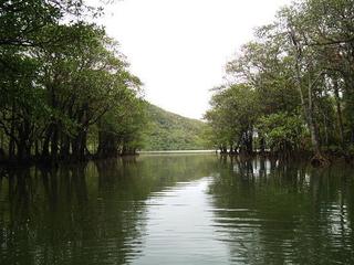DSC_1137s.jpg