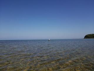 DSC_1206s.jpg