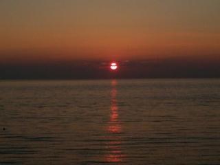 DSC_1215s.jpg