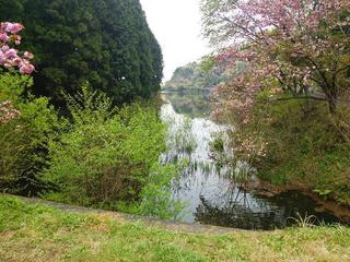 DSC_3438s.jpg