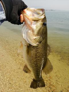 DSC_3472s.jpg