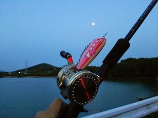 DSC_3564s.jpg