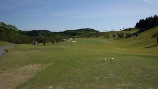IMG_20120513_083126s.jpg