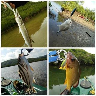 PhotoGrid_1443605845876s.jpg
